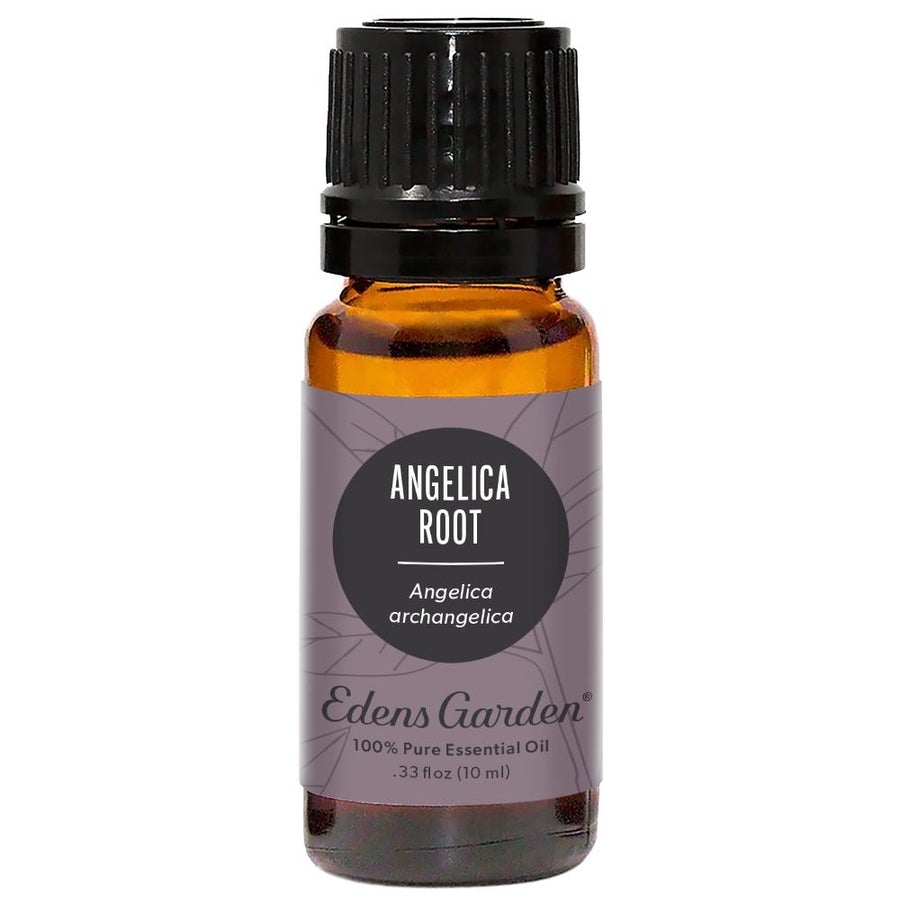 Angelica Root Essential Oil