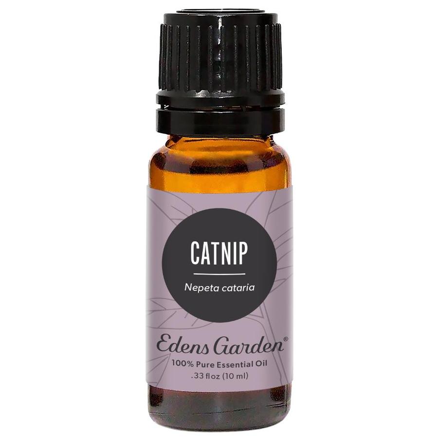 Catnip Essential Oil