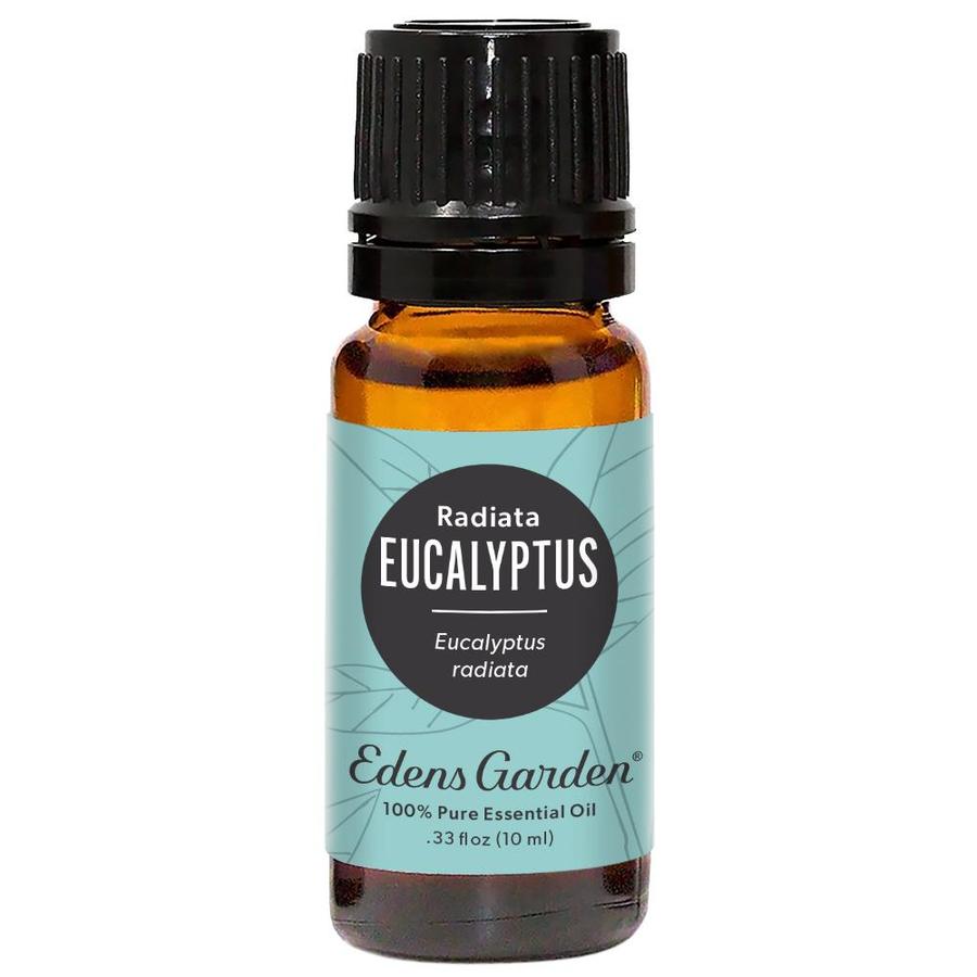Eucalyptus- Radiata Essential Oil
