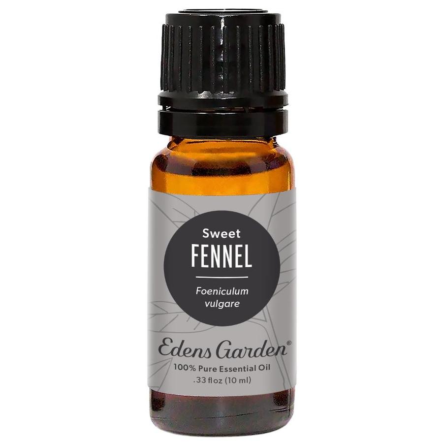 Fennel Essential Oil