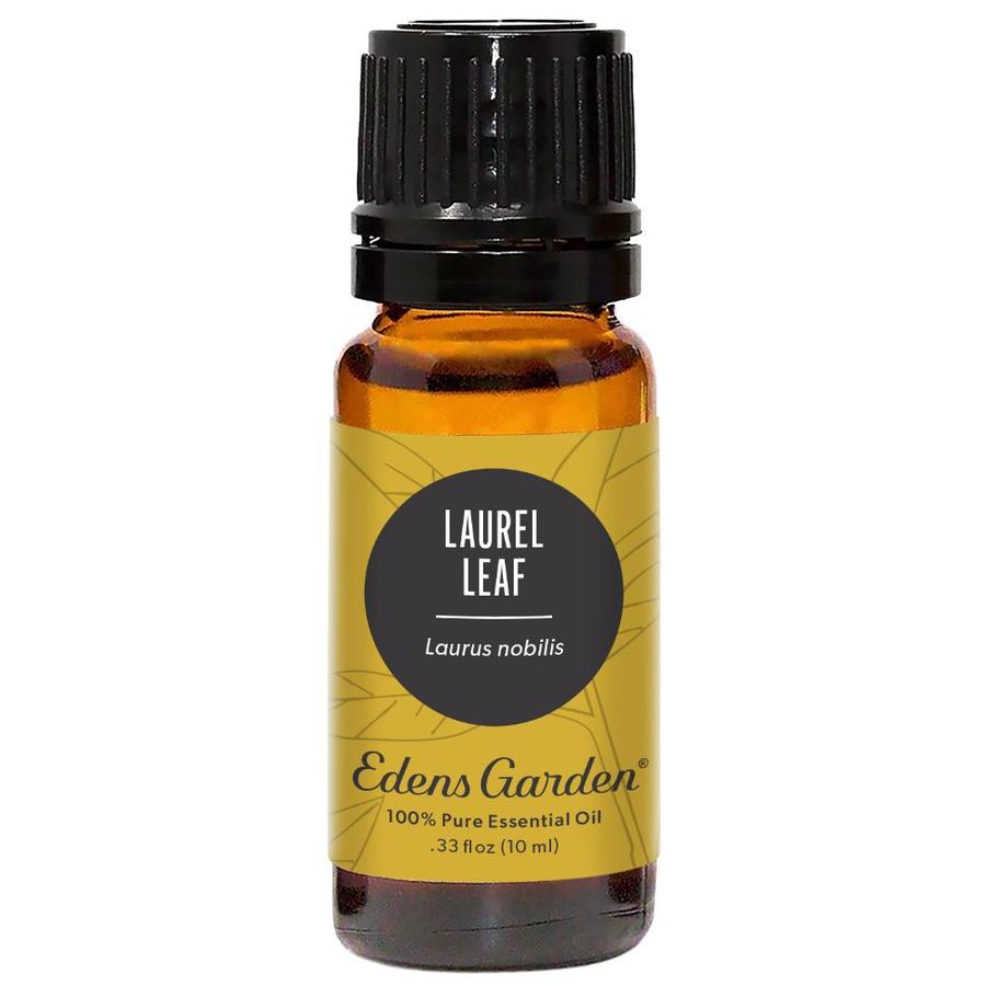 Laurel Leaf Essential Oil