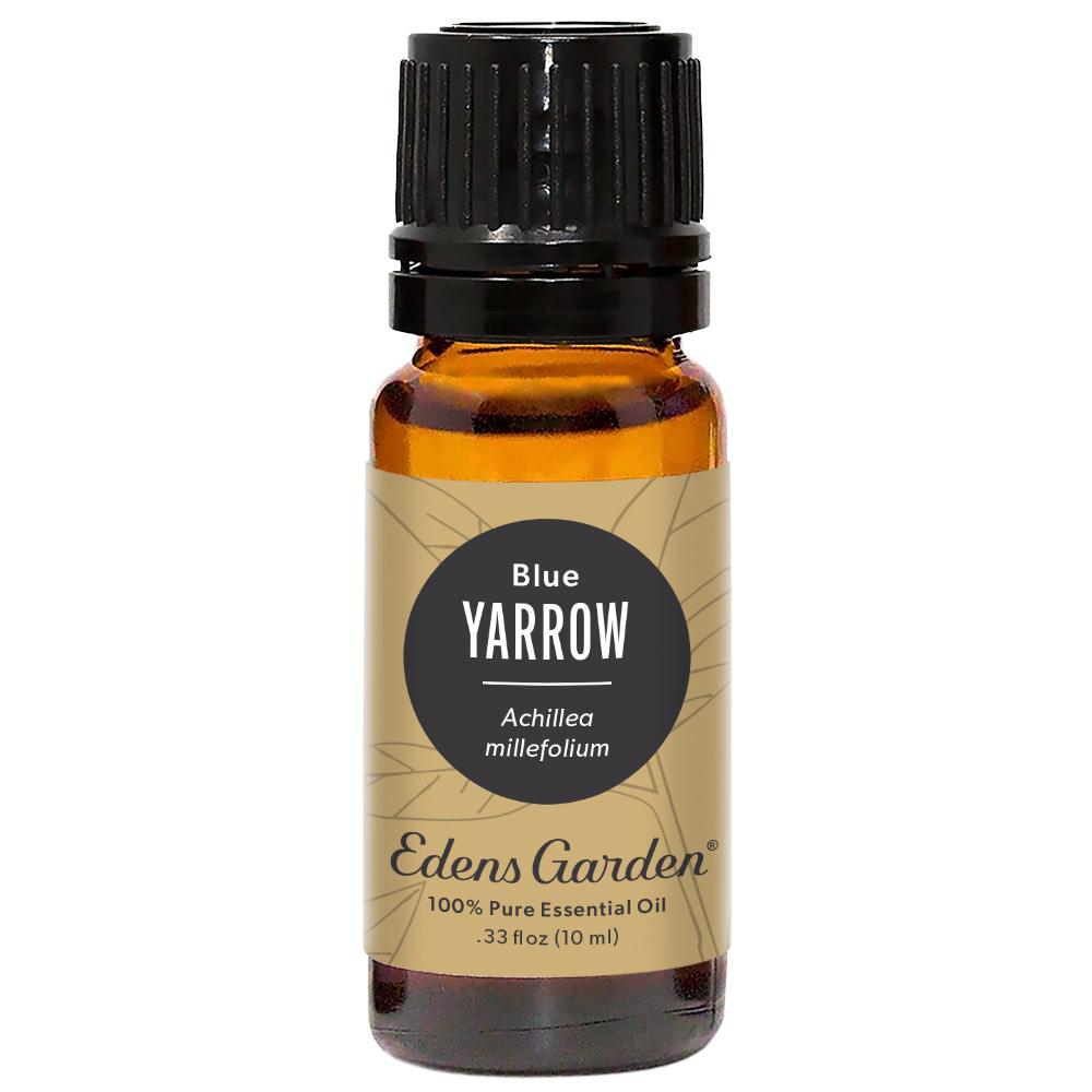 Yarrow Essential Oil