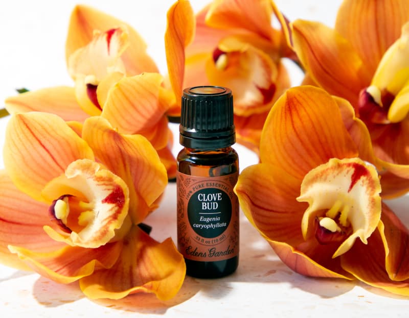 The Best Benefits And Uses For Clove Bud Essential Oil