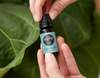 Edens Garden's Essential Oil Sourcing Standards