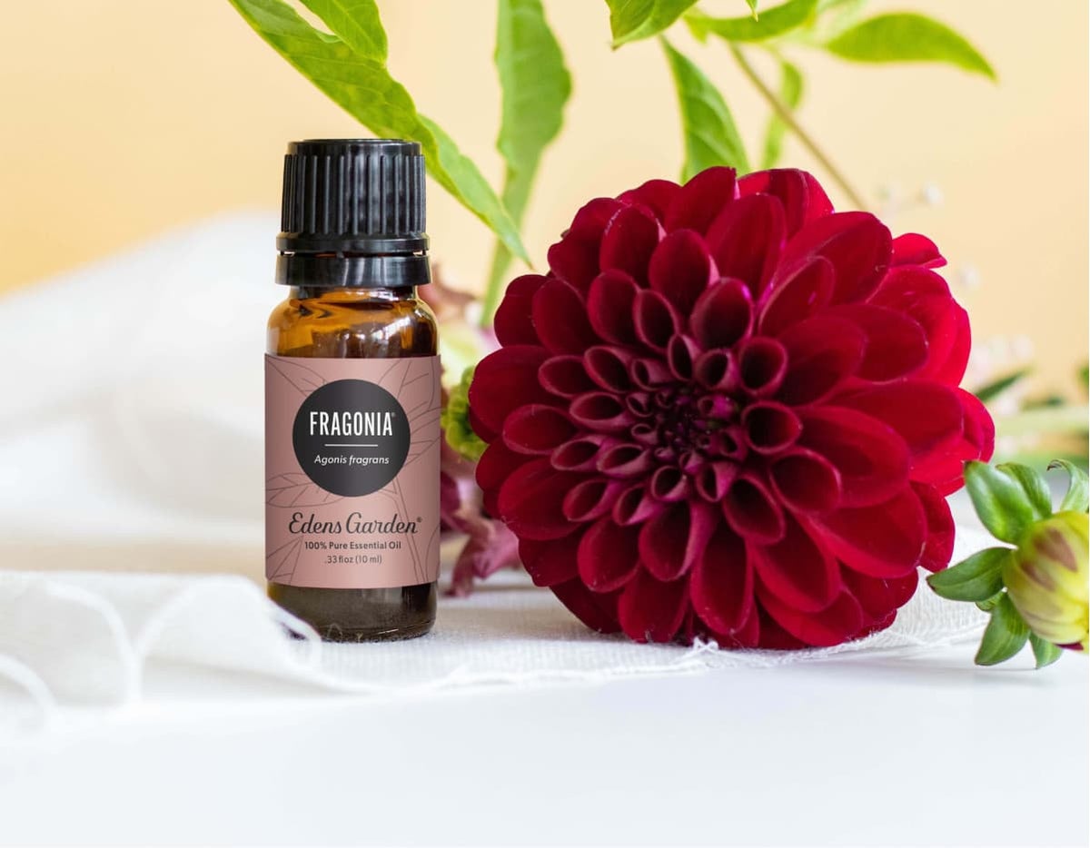 What Is The Difference Between Fragrance Oils And Essential Oils?