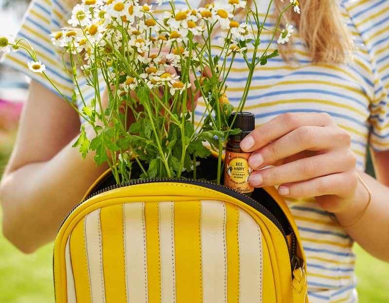 The Best Essential Oils For Back to School