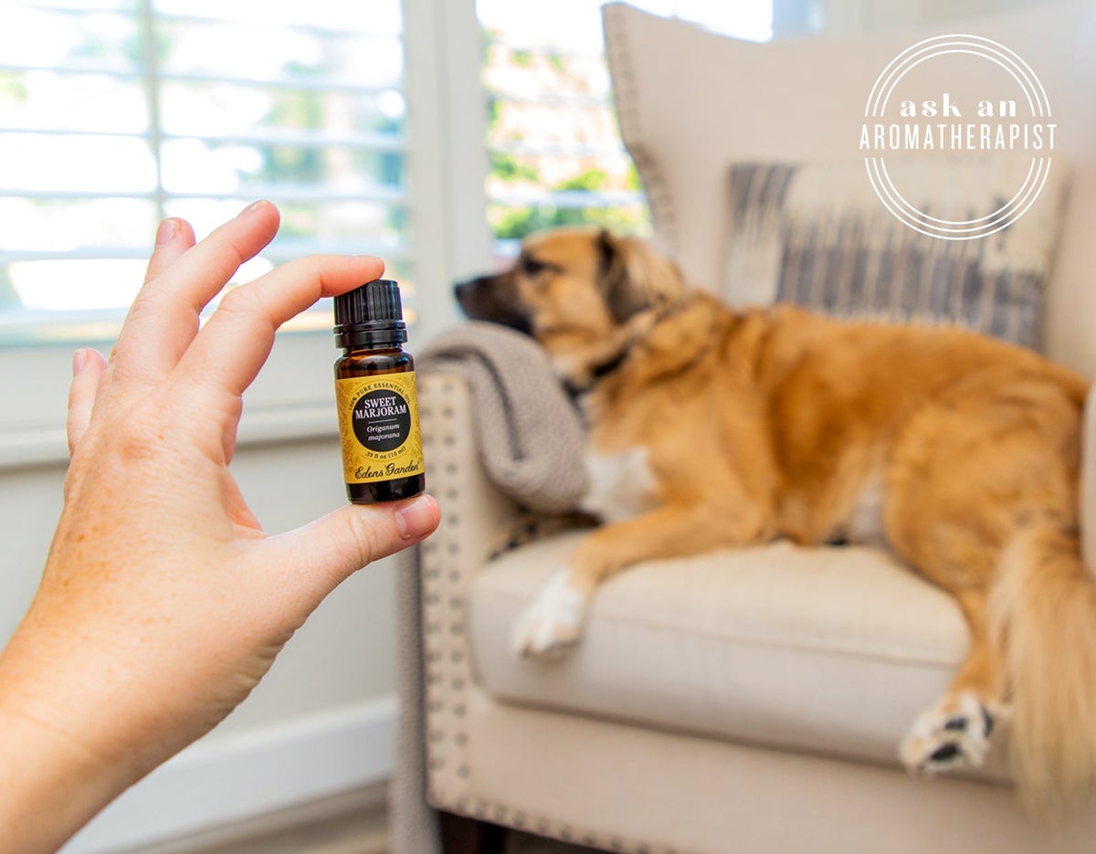 Which Essential Oils Are Safe for Dogs?