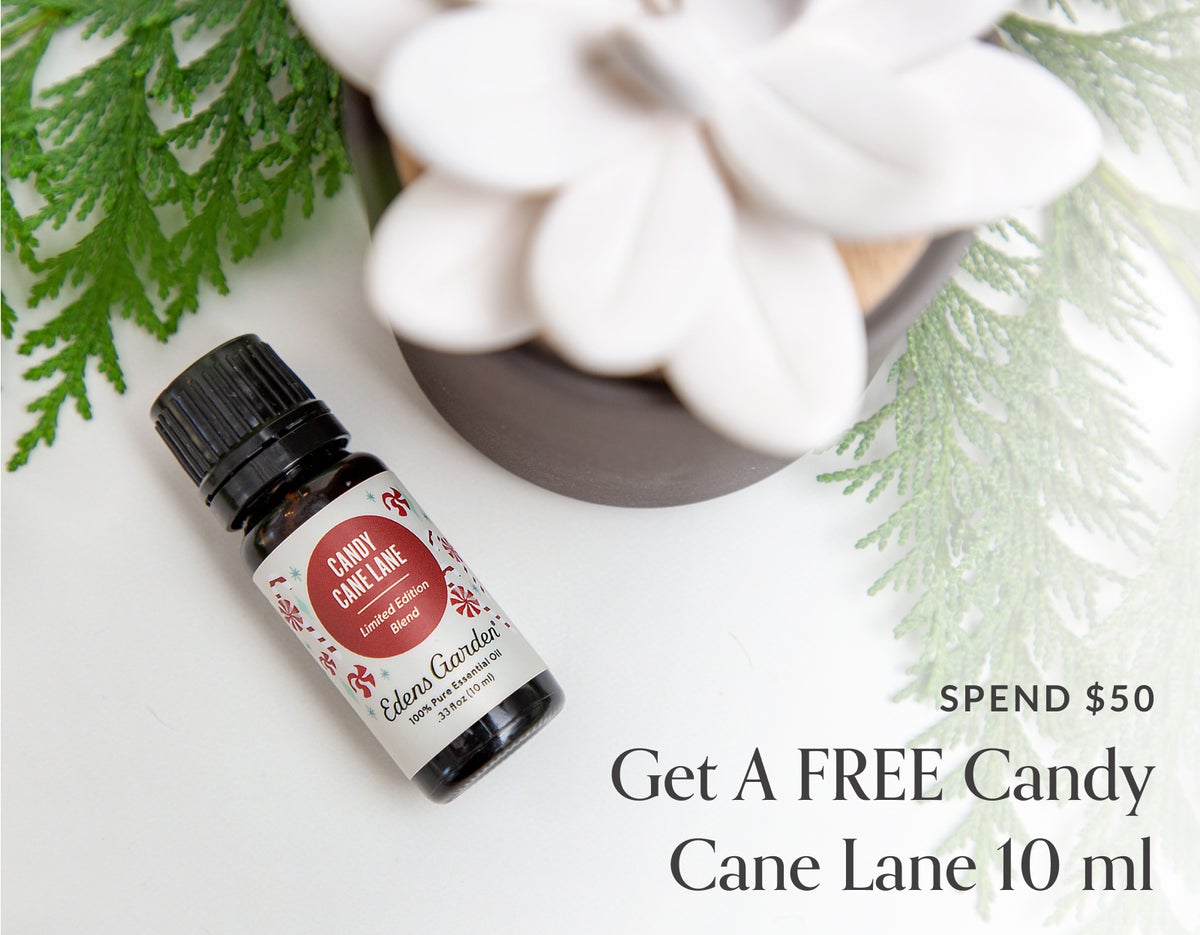 Day 2: Free Candy Cane Lane When You Spend $50