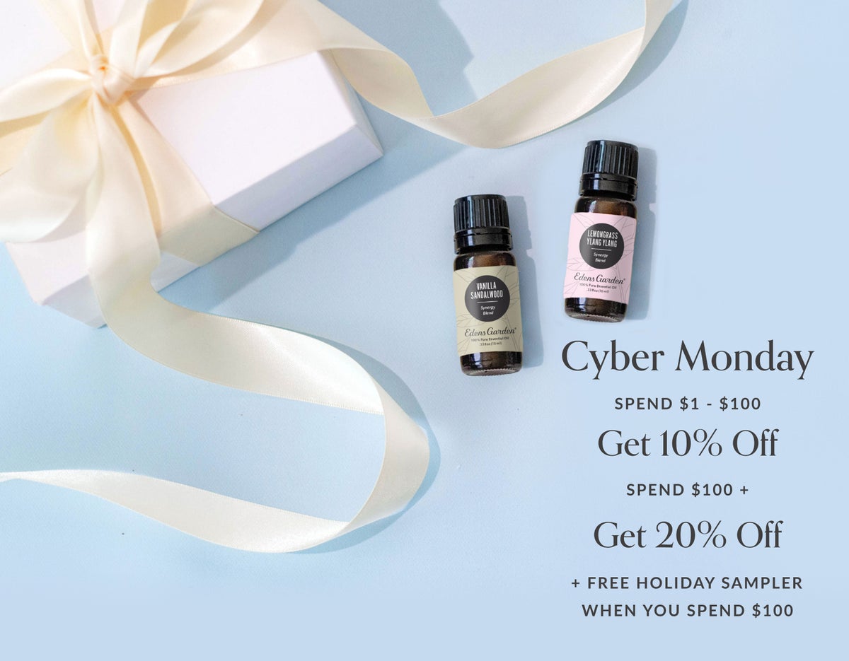 Day 6: Cyber Monday Sale!