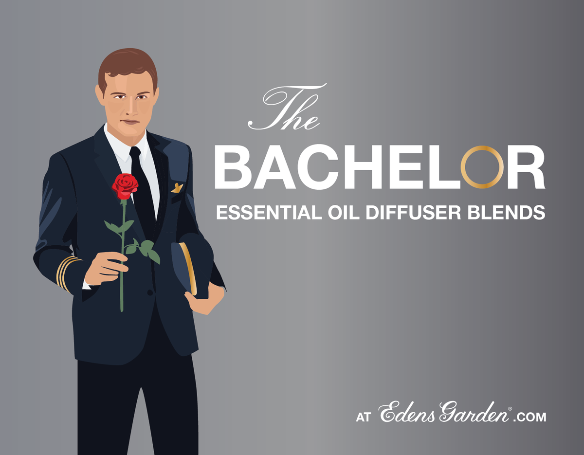 Bachelor Diffuser Recipes