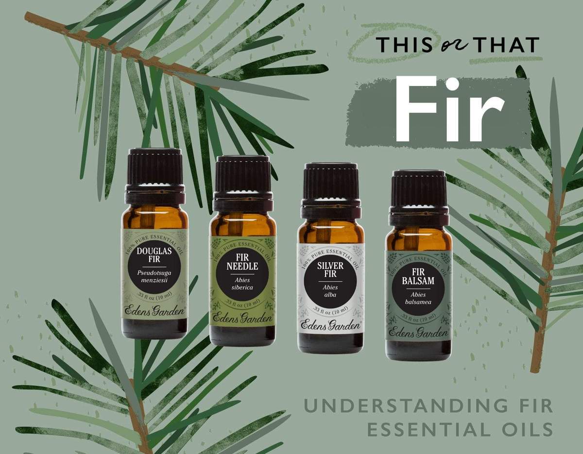 This Or That?: Douglas Fir, Fir Needle, Silver Fir and Fir Balsam