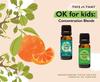 This or That OK for Kids: Blends for Concentration