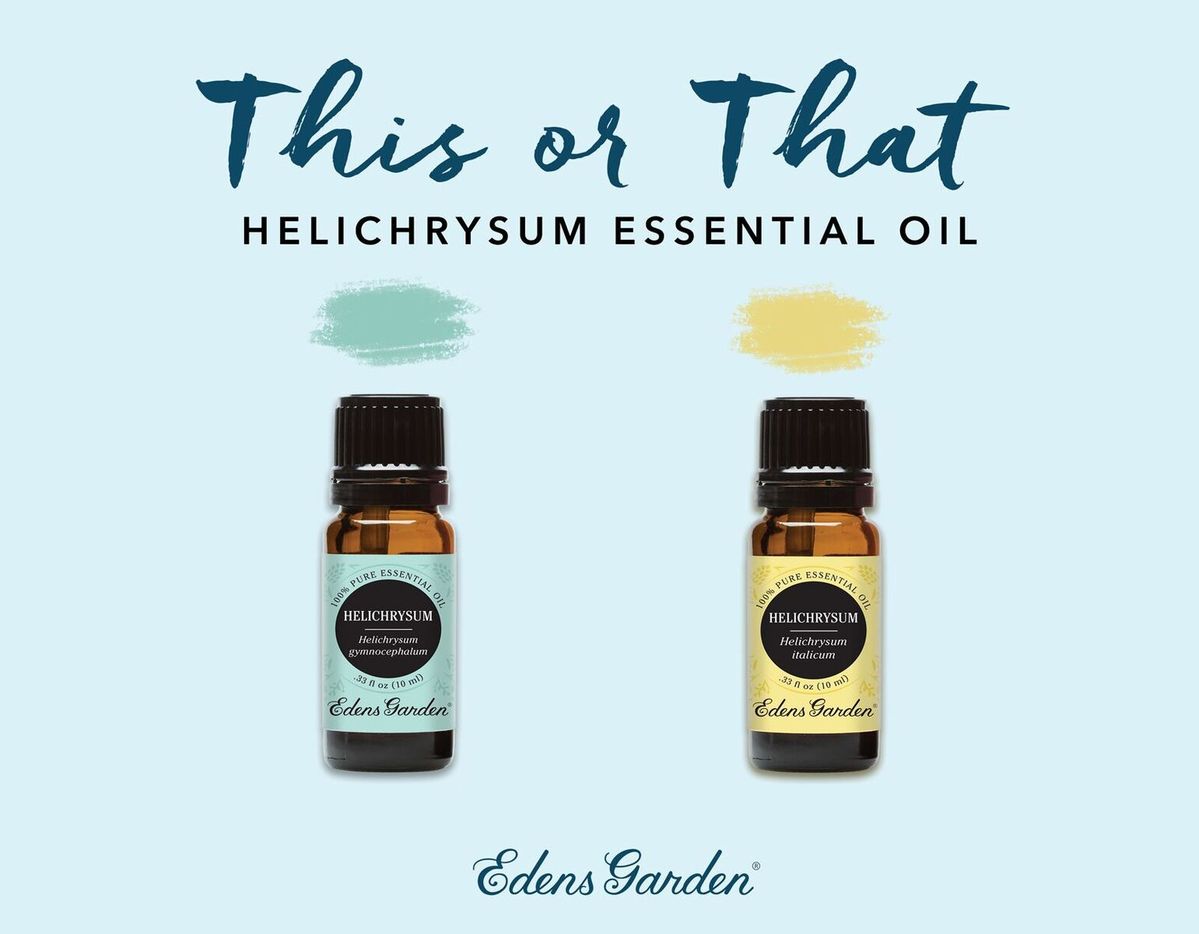 This or That: What's the Difference Between Helichrysum Essential Oils?