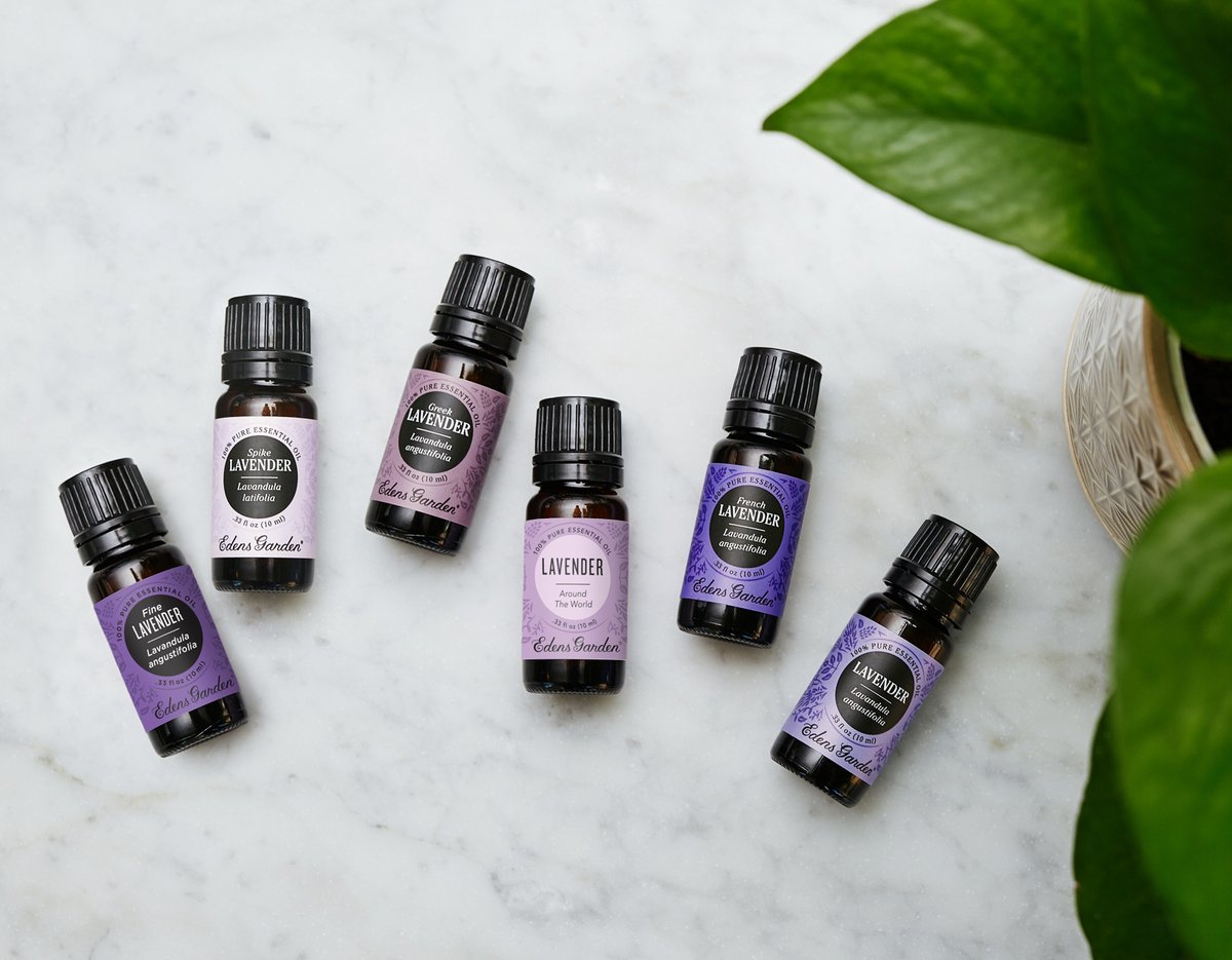 This Or That: What’s The Difference Between Lavender Essential Oils?