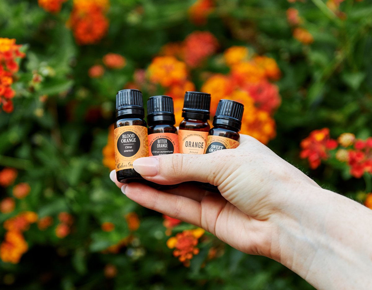 This Or That: What’s The Difference Between Orange Essential Oils?